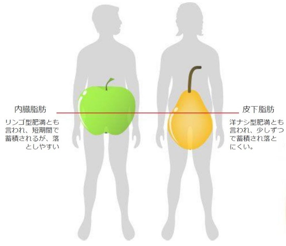 痩身医療ダイエット Jetzt イエット ひろい内科クリニック